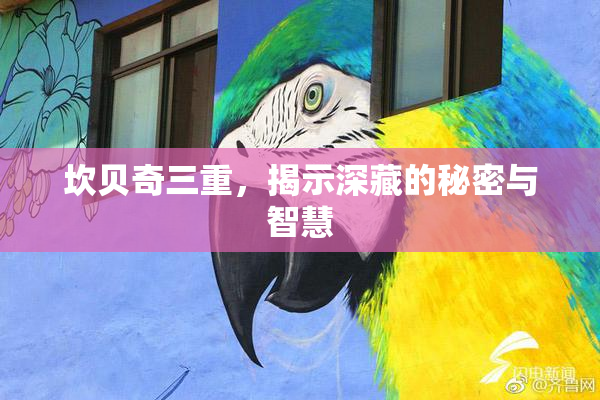 坎贝奇三重，揭示深藏的秘密与智慧