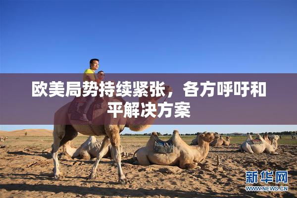 欧美局势持续紧张，各方呼吁和平解决方案