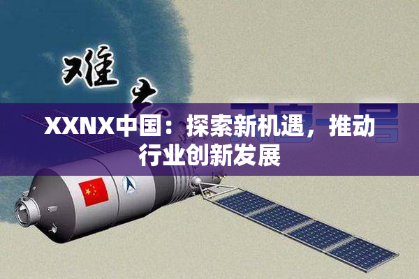 XXNX中国：探索新机遇，推动行业创新发展