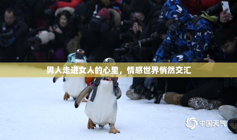 男人走进女人的心里，情感世界悄然交汇