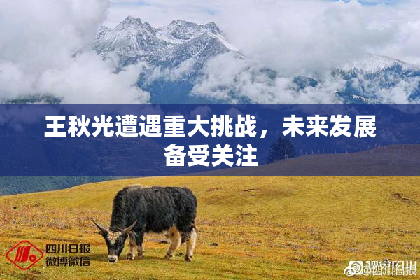 王秋光遭遇重大挑战，未来发展备受关注