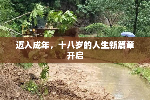 迈入成年，十八岁的人生新篇章开启