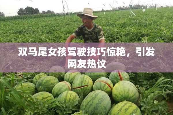 双马尾女孩驾驶技巧惊艳，引发网友热议