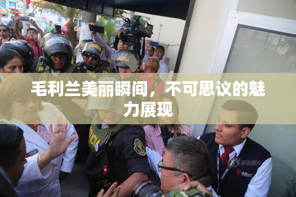 毛利兰美丽瞬间，不可思议的魅力展现
