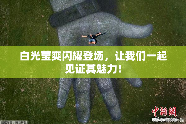 白光莹爽闪耀登场，让我们一起见证其魅力！