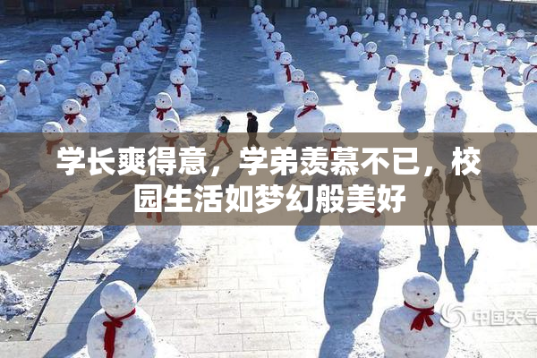 学长爽得意，学弟羡慕不已，校园生活如梦幻般美好
