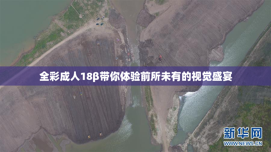全彩成人18β带你体验前所未有的视觉盛宴