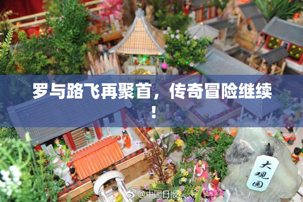 罗与路飞再聚首，传奇冒险继续！