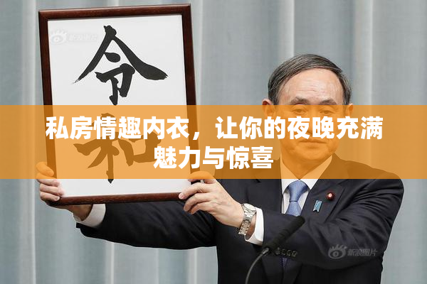私房情趣内衣，让你的夜晚充满魅力与惊喜