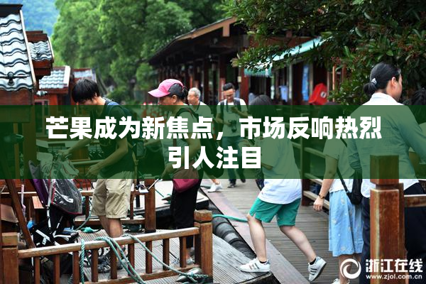 芒果成为新焦点，市场反响热烈引人注目