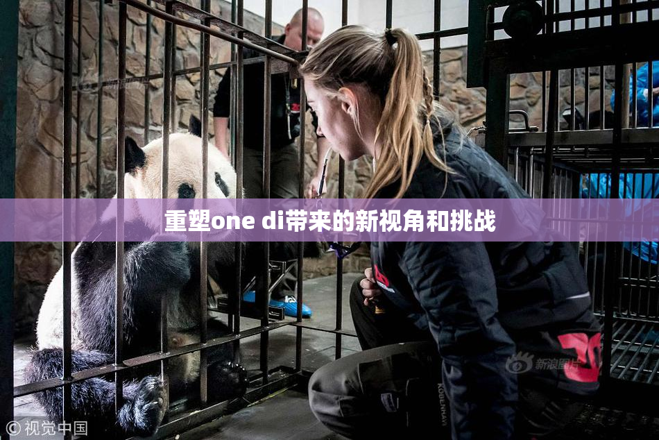 重塑one di带来的新视角和挑战