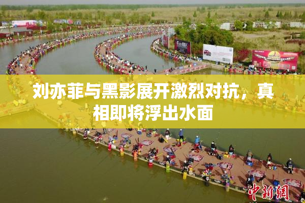 刘亦菲与黑影展开激烈对抗，真相即将浮出水面