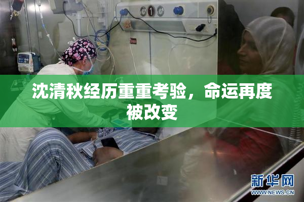 沈清秋经历重重考验，命运再度被改变