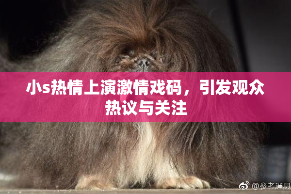 小s热情上演激情戏码，引发观众热议与关注