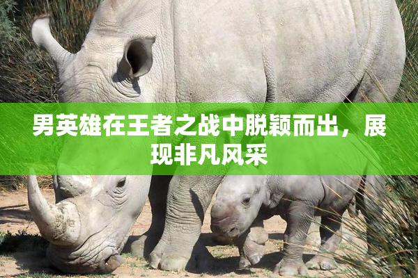 男英雄在王者之战中脱颖而出，展现非凡风采