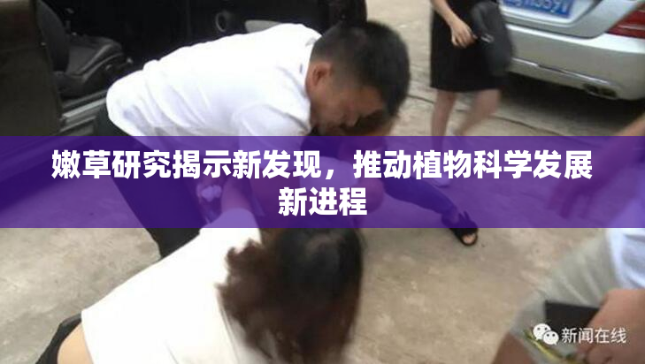 嫩草研究揭示新发现，推动植物科学发展新进程