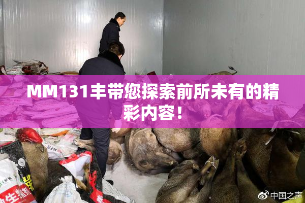 MM131丰带您探索前所未有的精彩内容！