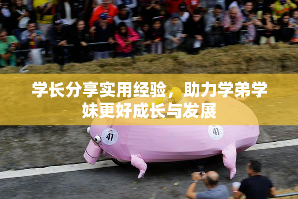 学长分享实用经验，助力学弟学妹更好成长与发展