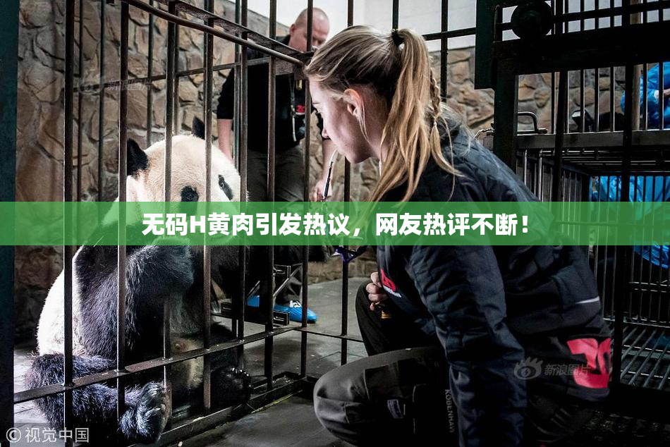 无码H黄肉引发热议，网友热评不断！