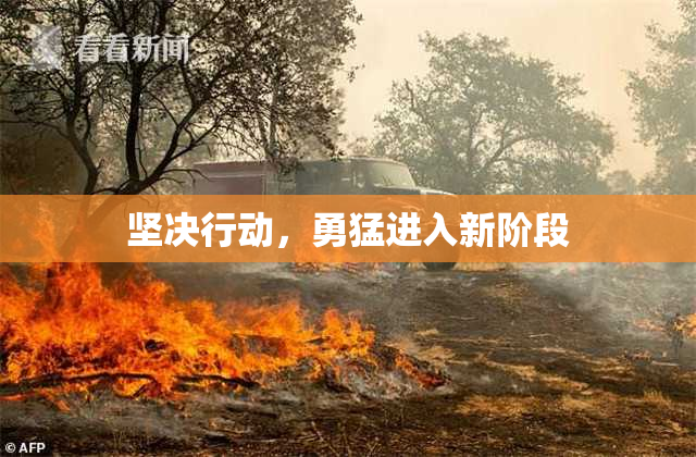 坚决行动，勇猛进入新阶段