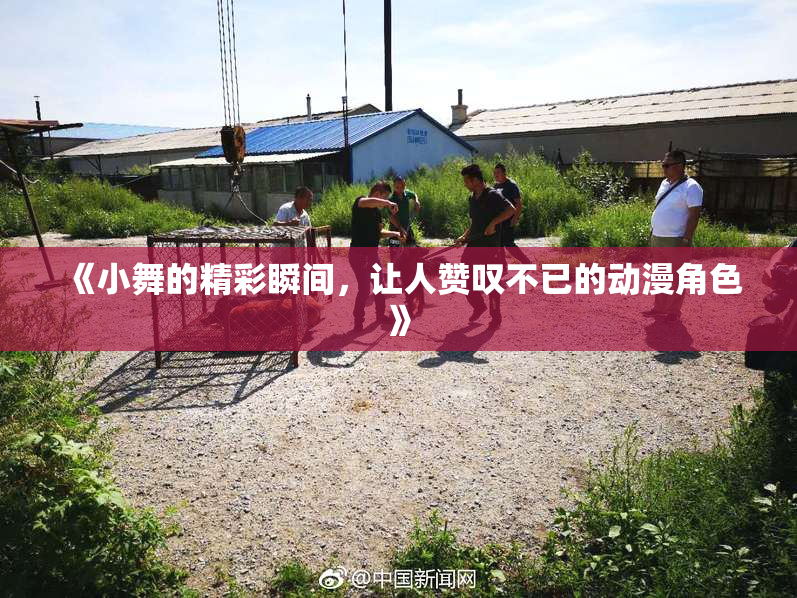 《小舞的精彩瞬间，让人赞叹不已的动漫角色》