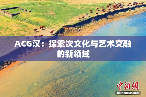 ACG汉：探索次文化与艺术交融的新领域