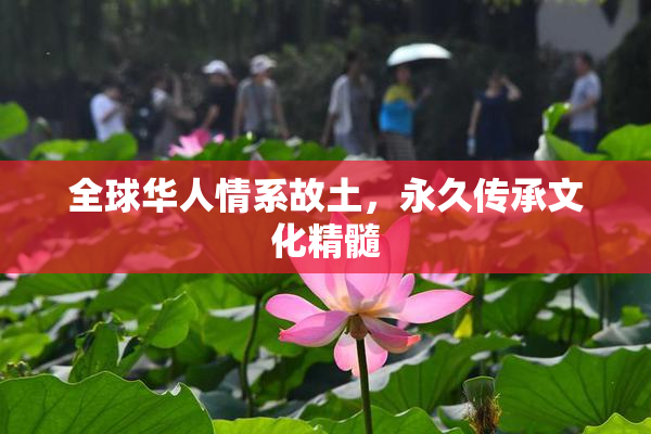 全球华人情系故土，永久传承文化精髓