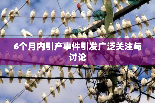 6个月内引产事件引发广泛关注与讨论