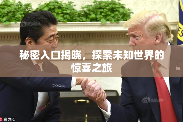 秘密入口揭晓，探索未知世界的惊喜之旅