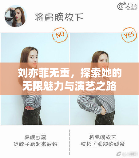 刘亦菲无重，探索她的无限魅力与演艺之路