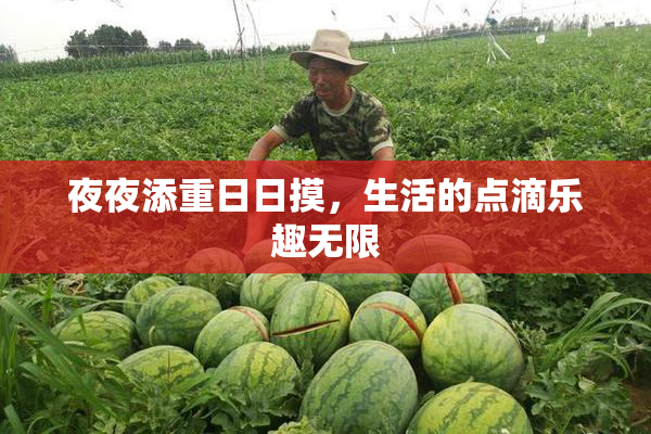 夜夜添重日日摸，生活的点滴乐趣无限