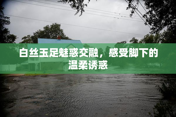 白丝玉足魅惑交融，感受脚下的温柔诱惑