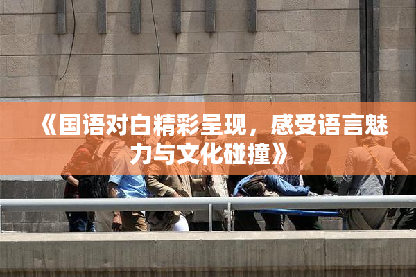 《国语对白精彩呈现，感受语言魅力与文化碰撞》