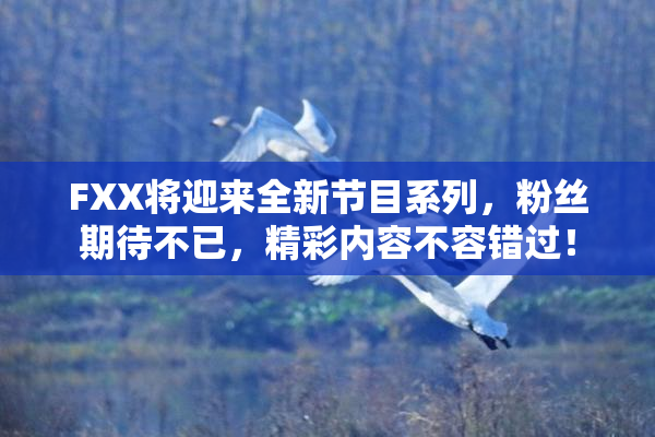 FXX将迎来全新节目系列，粉丝期待不已，精彩内容不容错过！