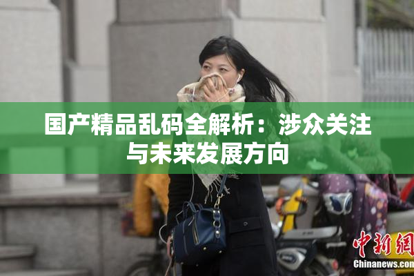 国产精品乱码全解析：涉众关注与未来发展方向