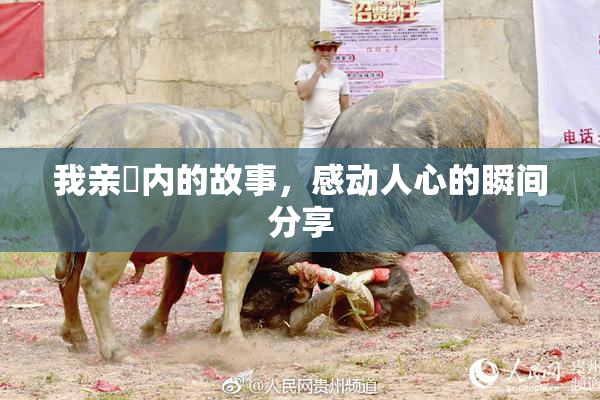 我亲妺内的故事，感动人心的瞬间分享