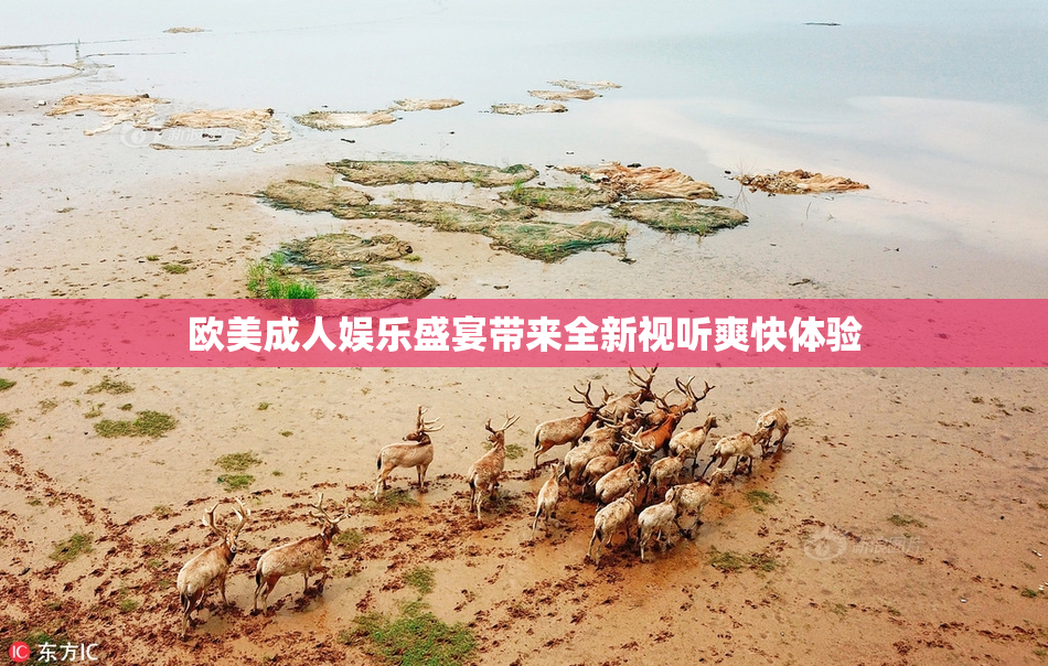 欧美成人娱乐盛宴带来全新视听爽快体验