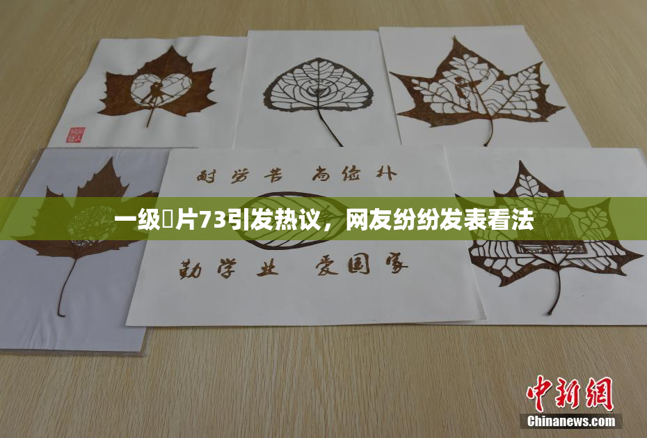 一级婬片73引发热议，网友纷纷发表看法