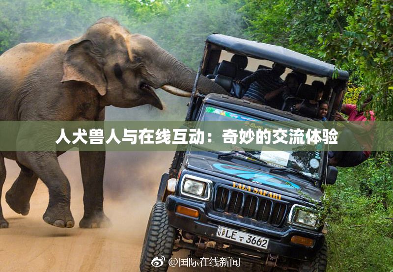 人犬兽人与在线互动：奇妙的交流体验