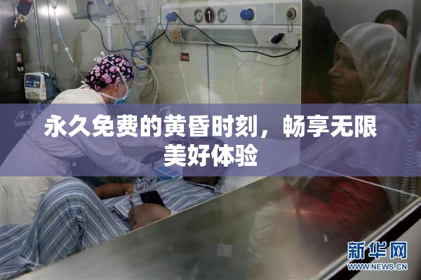 永久免费的黄昏时刻，畅享无限美好体验