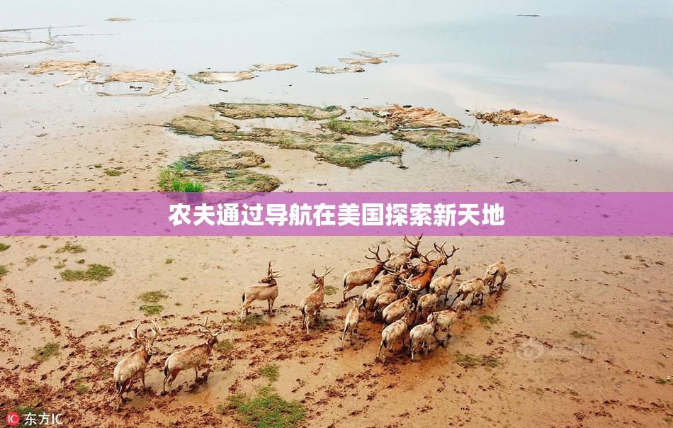 农夫通过导航在美国探索新天地