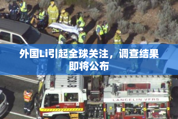 外国Li引起全球关注，调查结果即将公布