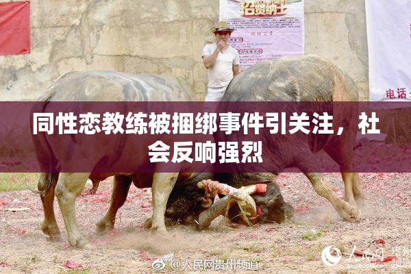 同性恋教练被捆绑事件引关注，社会反响强烈