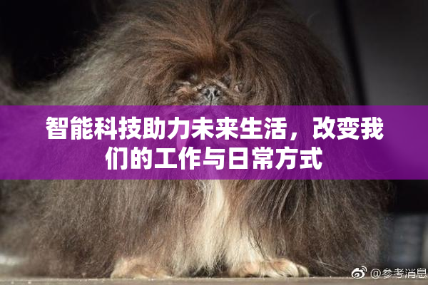 智能科技助力未来生活，改变我们的工作与日常方式