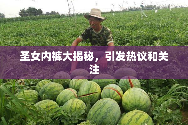 圣女内裤大揭秘，引发热议和关注