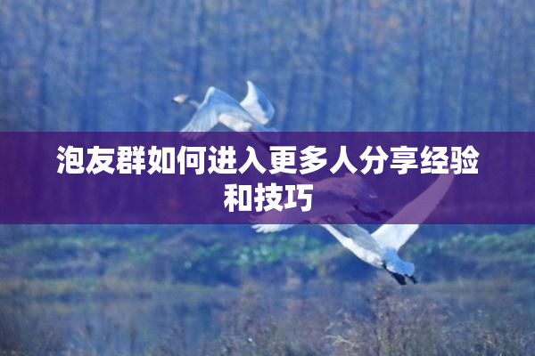 泡友群如何进入更多人分享经验和技巧