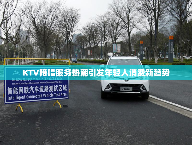 KTV陪唱服务热潮引发年轻人消费新趋势