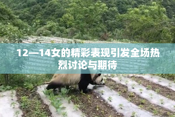12—14女的精彩表现引发全场热烈讨论与期待