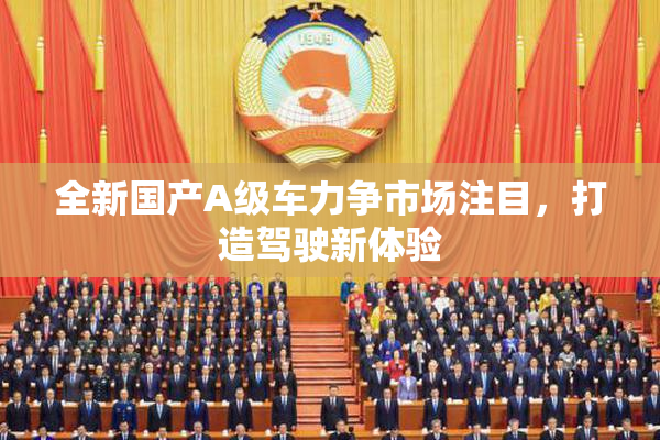 全新国产A级车力争市场注目，打造驾驶新体验
