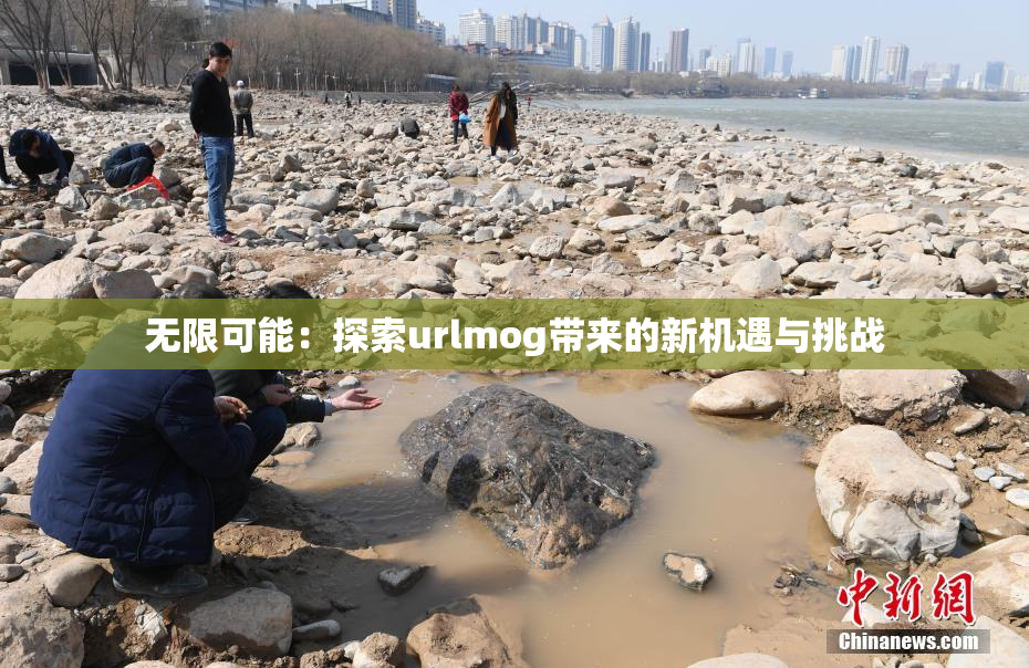 无限可能：探索urlmog带来的新机遇与挑战